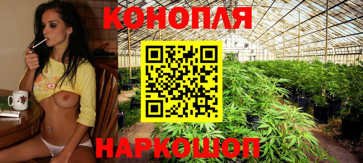 Бошки марихуана OG Kush Донецк